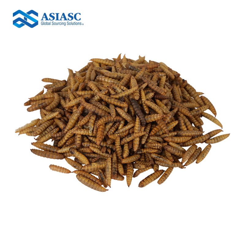 MD930101 Microwave-Dried Black Soldier Fly Larvae  