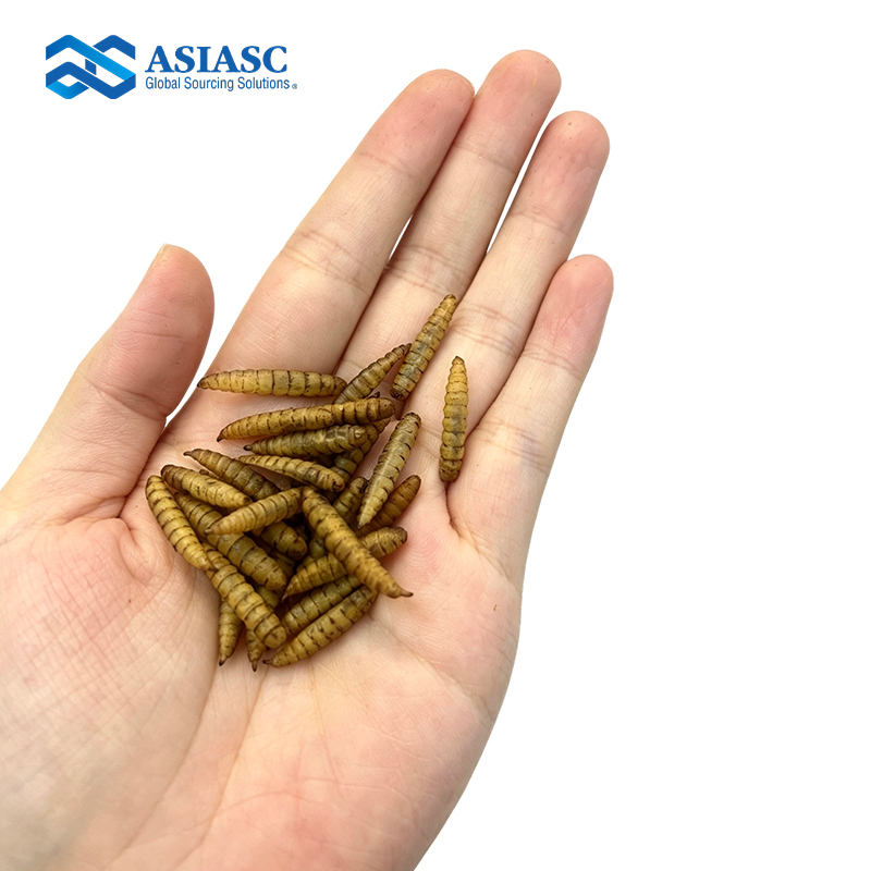 MD930204 Microwave Dried Mealworms – 5kg Bulk Pack