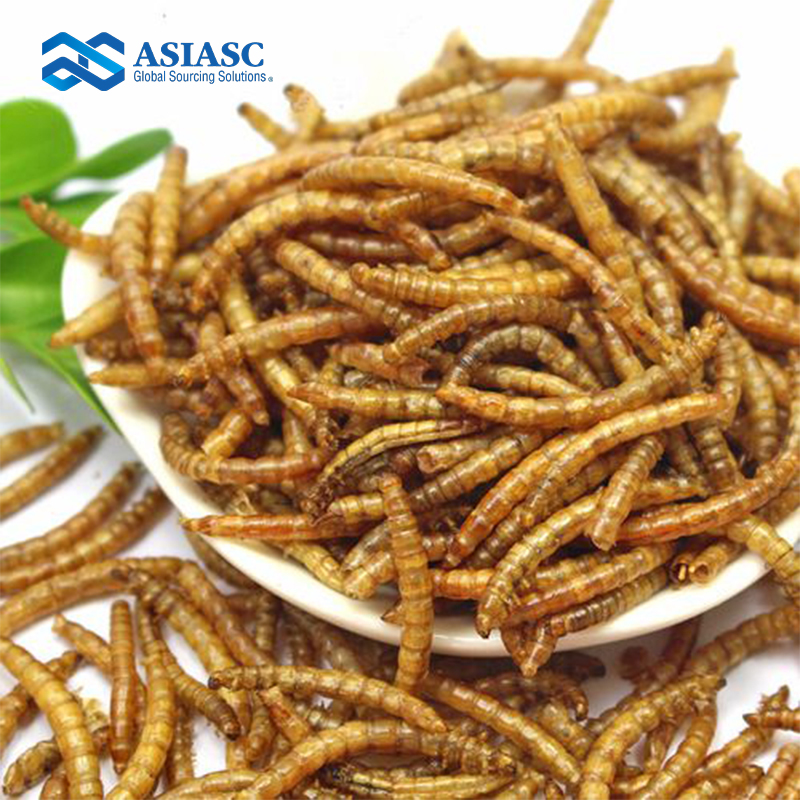 MD930205 Microwave Dried Mealworms – 10kg Bulk Pack