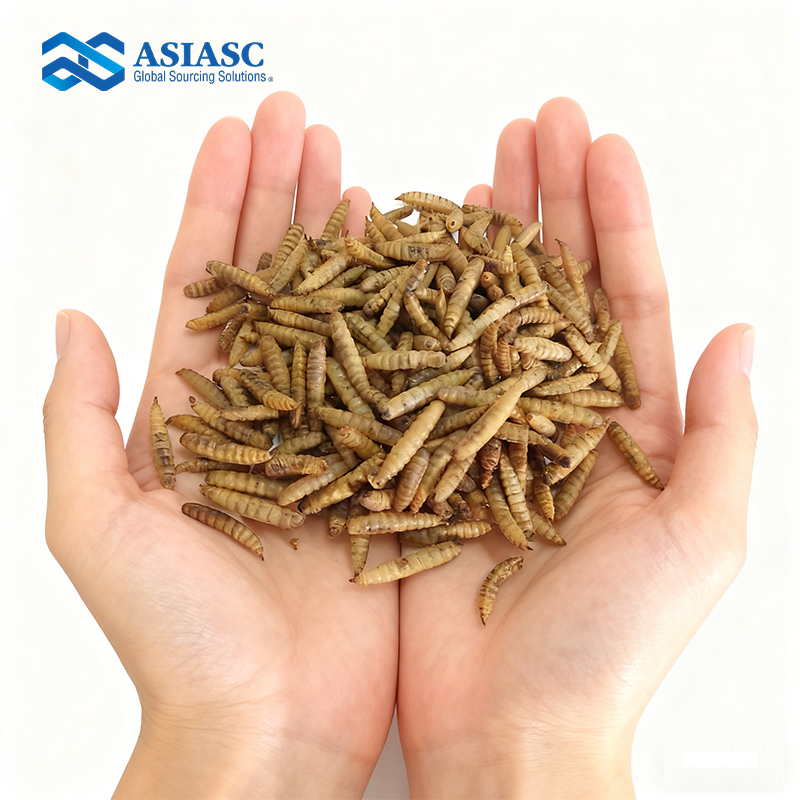 MD930103 Dried Black Soldier Fly Larvae (Dried BSFL) –Fresh Lock Resealable Colorful Bag